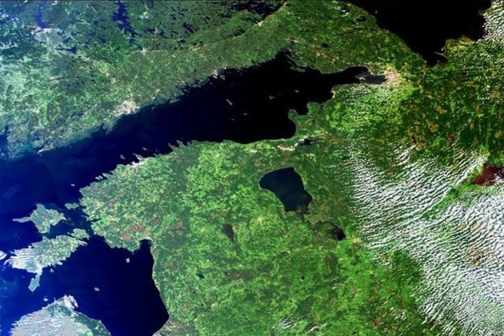 Финский залив. Вид из космоса.