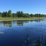 Эстонская Ингерманландия. Саркюля: край света в окружении водных преград