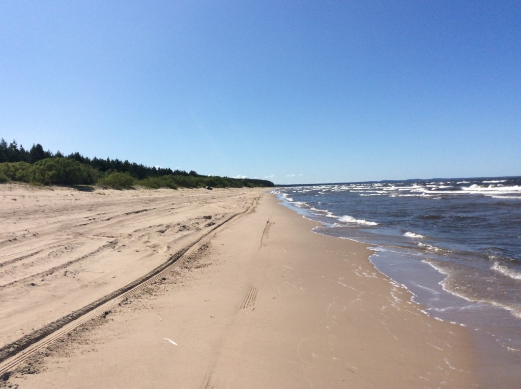 Белые пески раскинулись на несколько километров в заповедной зоне