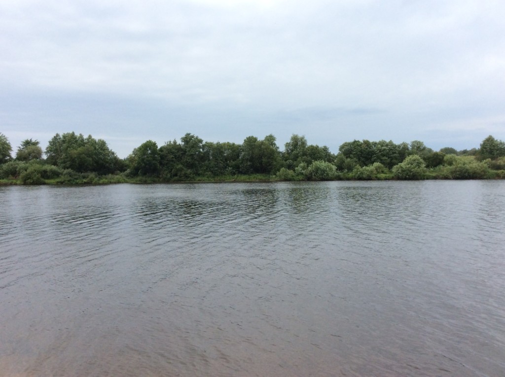 Река Луга в районе Терпигорья. На другом берегу - деревня Кошкино, на территории которой располагались усадьбы Мариенгоф и Блэкенгоф (Новая Сала)