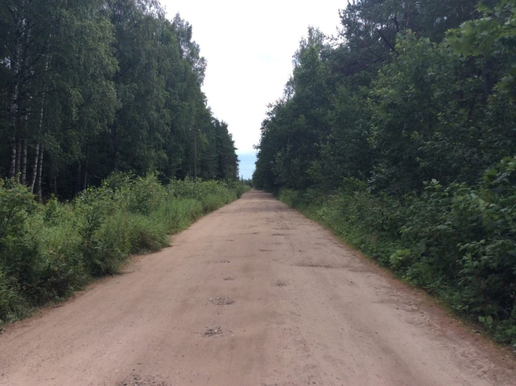 Грунтовая дорога в сторону деревни Новое Куземкино