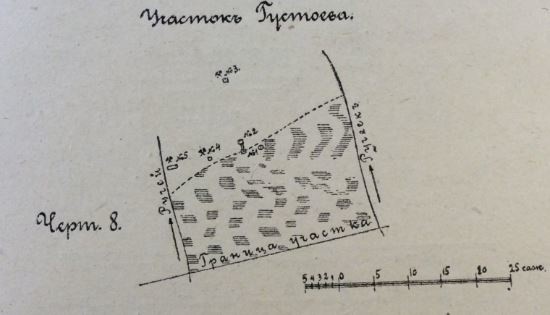 Реферат: Глаукониты Ленинградской области