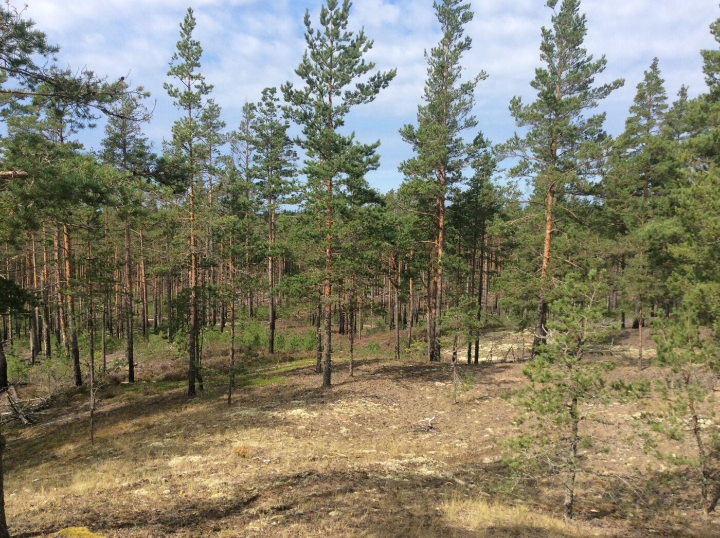 Кургальский заказник презентация