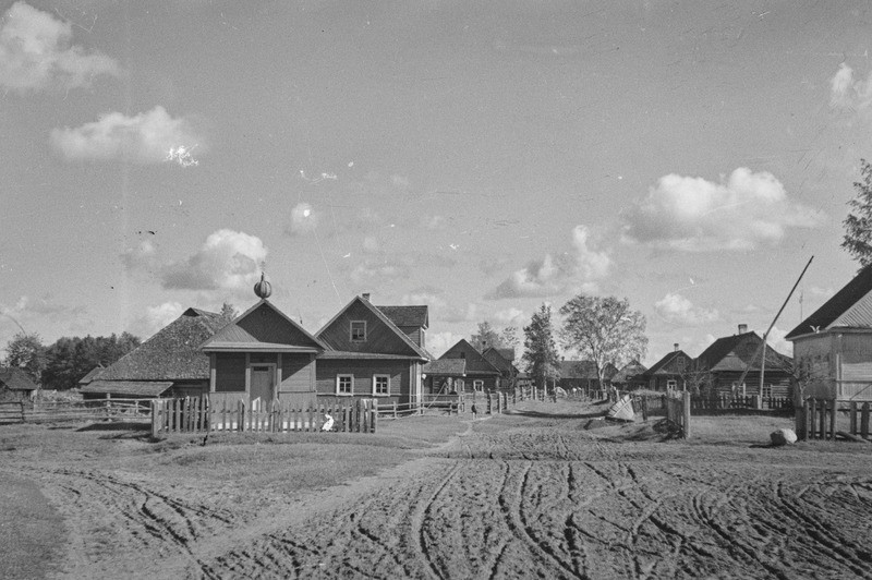 Лужицы ленинградская область