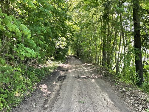 Деревня Смолка. Принаровье. Река Нарова