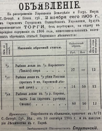 Деревня Смолка. Принаровье. Река Нарова